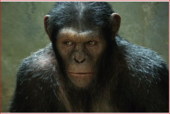 “Rise of the Planet of the Apes” Movie Review