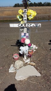 Kassy and Bobby's mom fixed up the site on the third anniversary.  :-( 