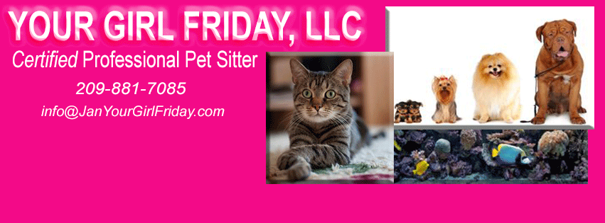 Pet-Sitter-FB-banner