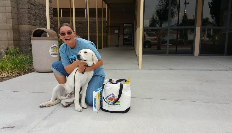 Grit and Blaze at Traina