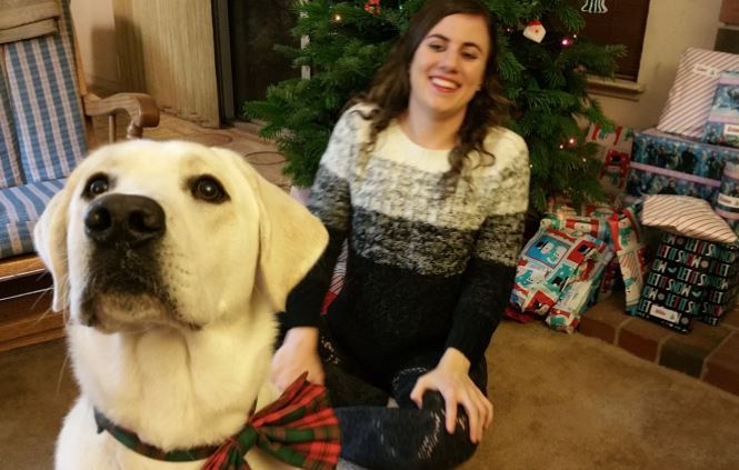 Our Yellow Labrador: Blaze’s First&nbsp;Year