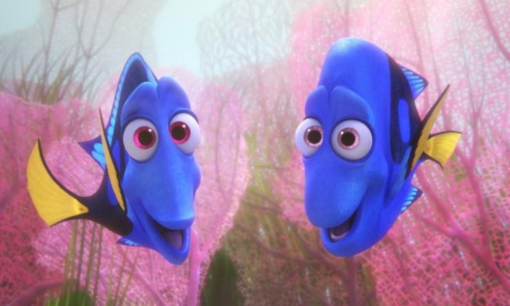 Top 25 Movies in the Box Office for&nbsp;2016