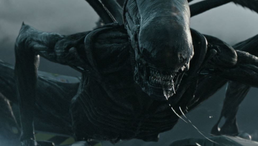 Movie Box Office Results May 19 – 21&nbsp;2017