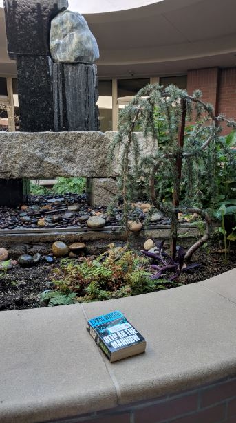 brookside dental in stockton