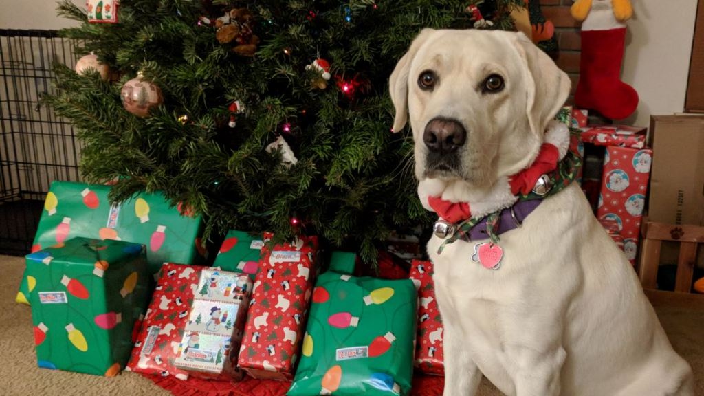 2018 Geek Christmas Gifts