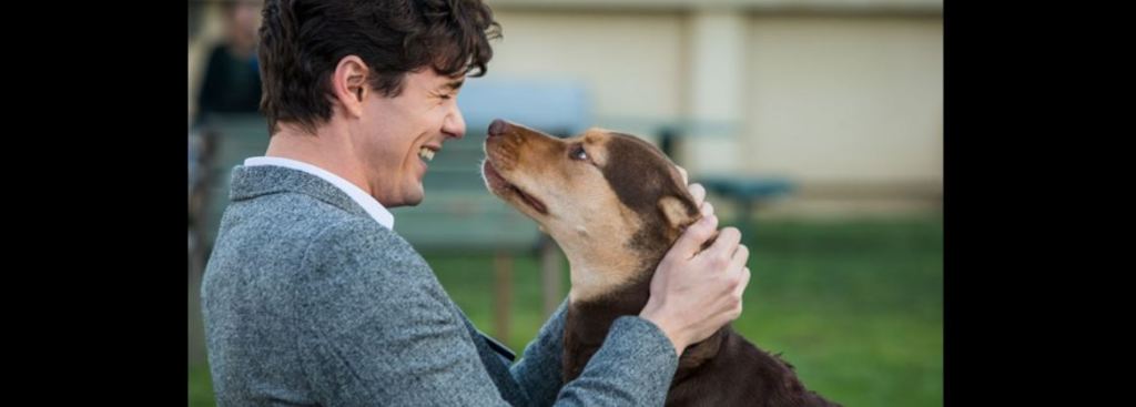 “A Dog’s Way Home” Official&nbsp;Trailer