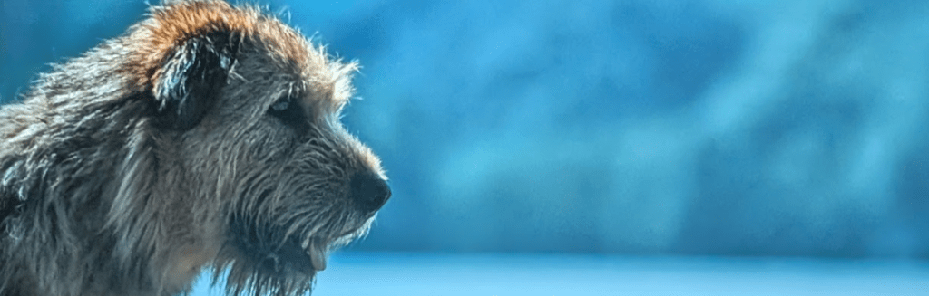 Movie Review: “Arthur the&nbsp;King”