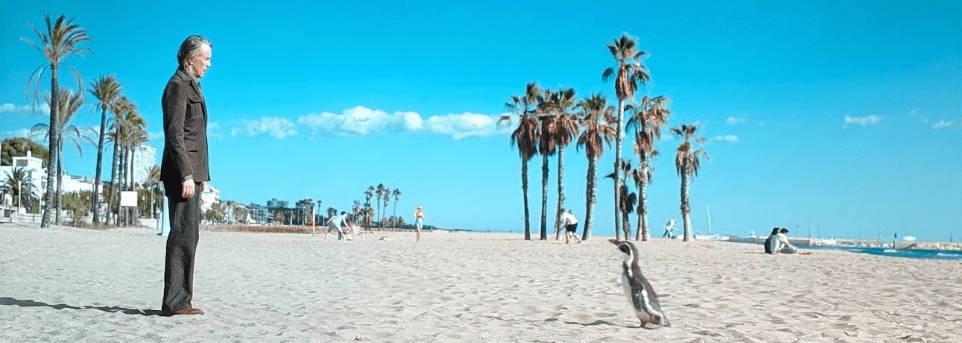 “The Penguin Lessons” Movie&nbsp;Review