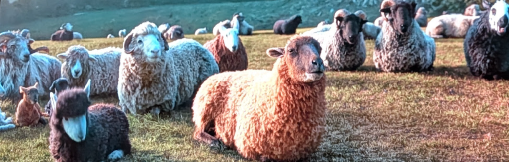 “The Sheep Detectives” Movie Review